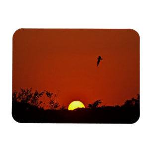 Solnedgång Magnet