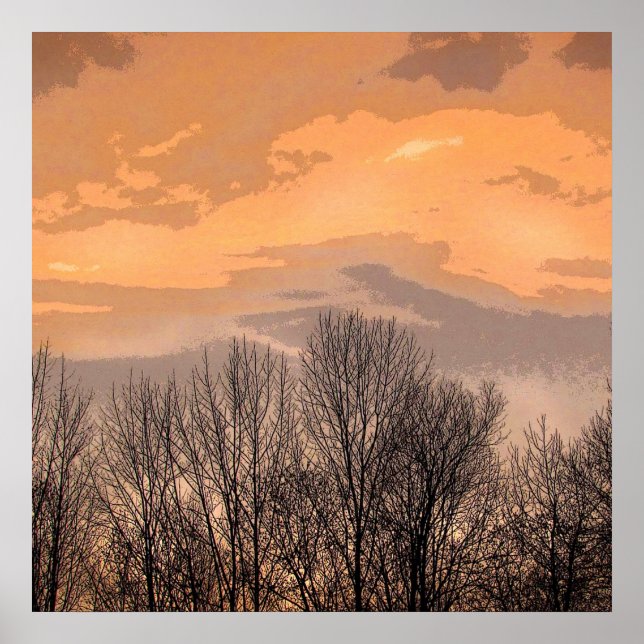 Solnedgång med Bare Träd Poster (Framsidan)
