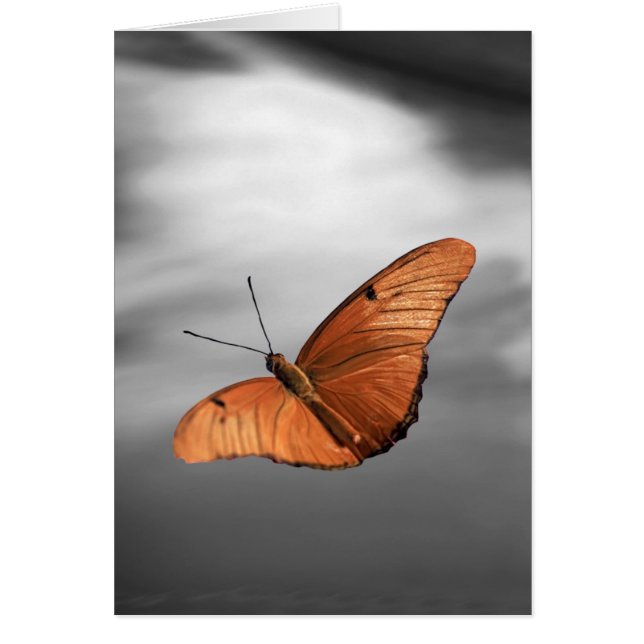 Solnedgång med fjäril hälsningskort (Framsidan)