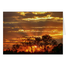 Solnedgång med gyllene raketer genom Träd