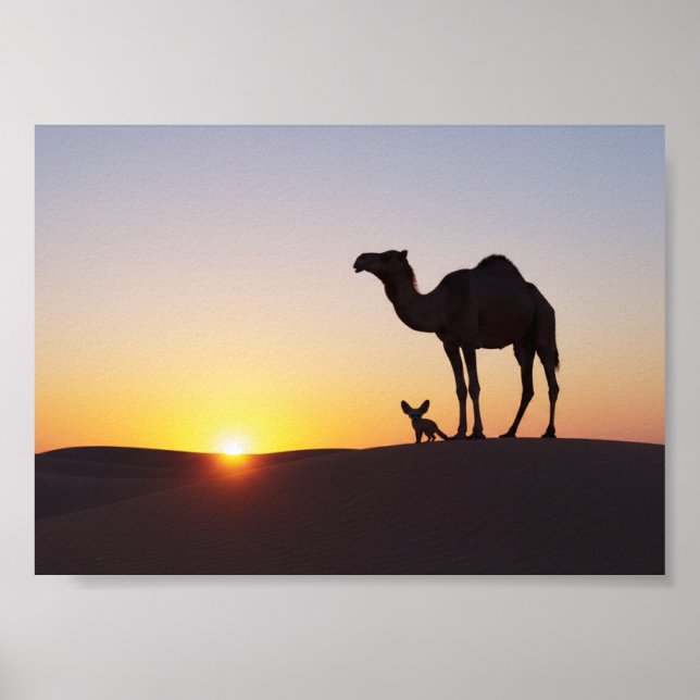 Solnedgång med kamel och fennekräv poster (Framsidan)