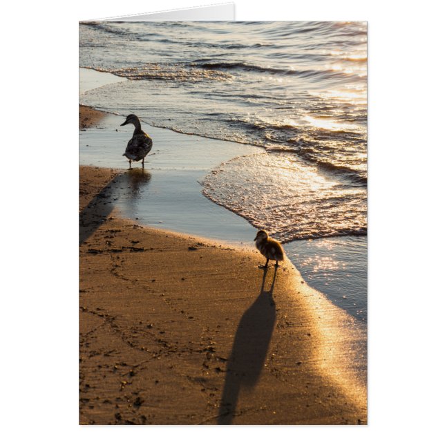 Solnedgång med Mamma OBS Kort (Framsidan)