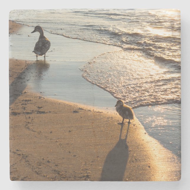 Solnedgång med Mamma Underlägg Sten (Framsidan)