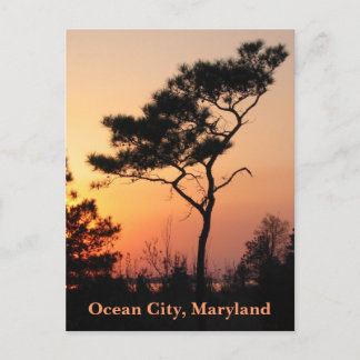Solnedgång Ocean City vykort