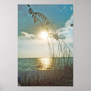 Solnedgång och havre poster