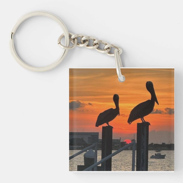 Solnedgång och Pelikans Magnet (Framsidan)