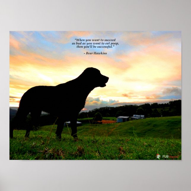 Solnedgång och Poop Poster (Framsidan)