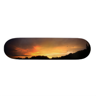Solnedgång Old School Skateboard Bräda 21,6 Cm