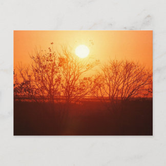 Solnedgång över Bayou Vykort