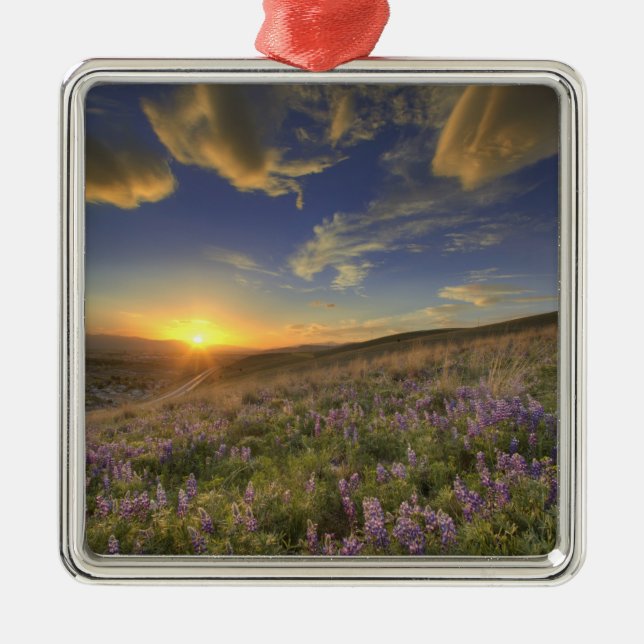 Solnedgång över Bitterroot-bergen och vidsträckt Julgransprydnad Metall (Framsidan)