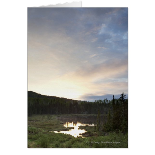 Solnedgång över en fuktig damm hälsningskort (Framsidan)