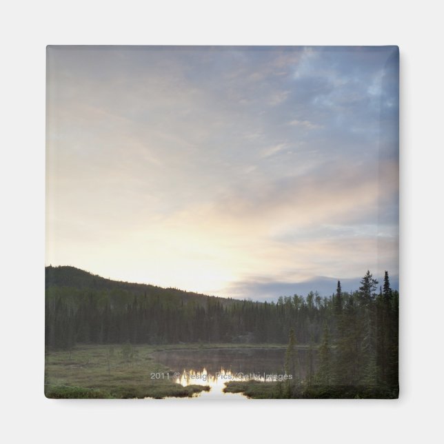Solnedgång över en fuktig damm magnet (Framsidan)