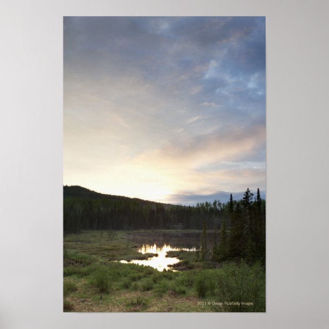 Solnedgång över en fuktig damm poster (Framsidan)