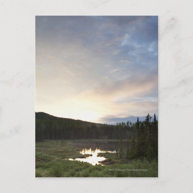 Solnedgång över ett dimmigt damm vykort (Framsida)