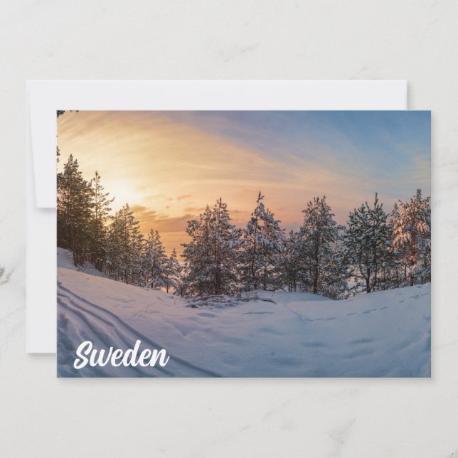 Solnedgång över fryst snöskog nära havet (Framsida)