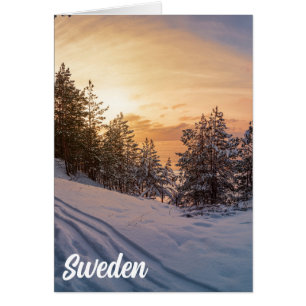 Solnedgång över fryst snöskog nära havet hälsningskort