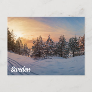 Solnedgång över fryst snöskog nära havet vykort