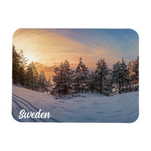 Solnedgång över fryst snöskog nära magnet
