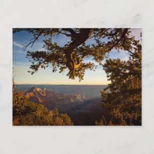 Solnedgång över Grand Canyon Vykort