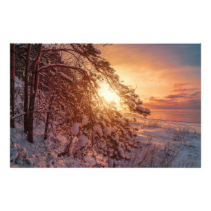 Solnedgång över havs och snö gräs träd fototryck