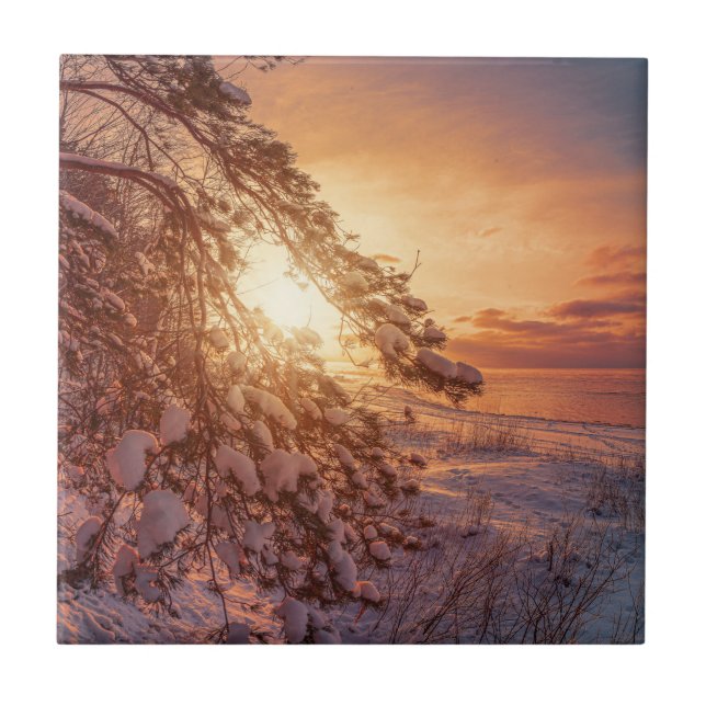 Solnedgång över havs och snö gräs träd kakelplatta (Framsidan)