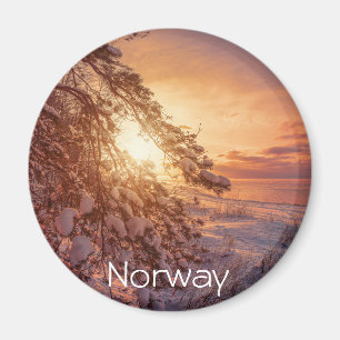 Solnedgång över havs och snö gräs träd magnet