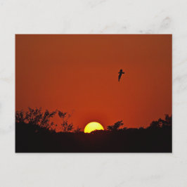 Solnedgång över Marsh Vykort