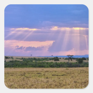 Solnedgång över Masai Mara. Fyrkantigt Klistermärke