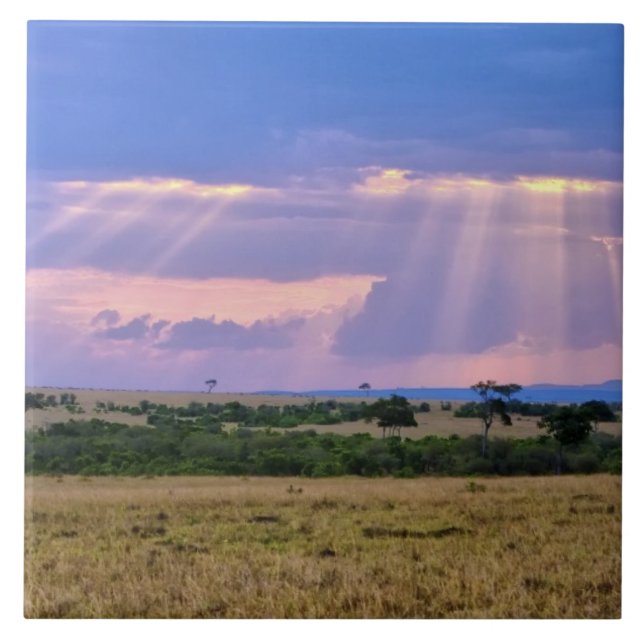 Solnedgång över Masai Mara. Kakelplatta (Framsidan)