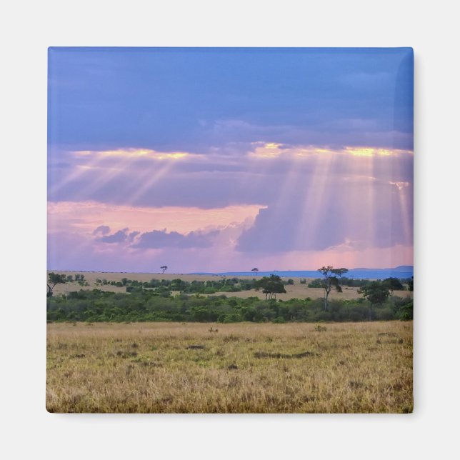 Solnedgång över Masai Mara. Magnet (Framsidan)