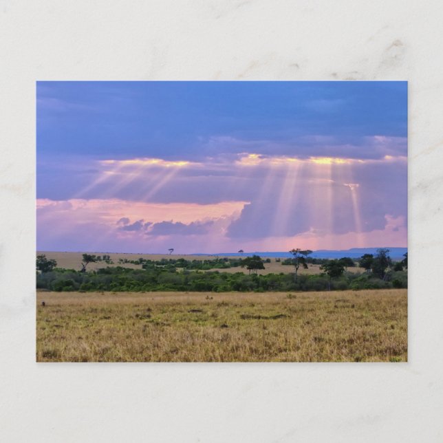 Solnedgång över Masai Mara. Vykort (Framsida)