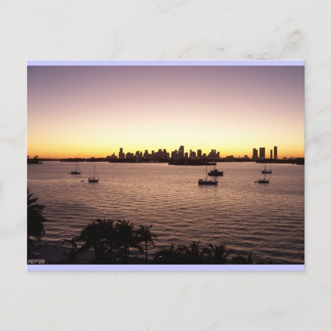 Solnedgång över Miami Vykort (Framsida)