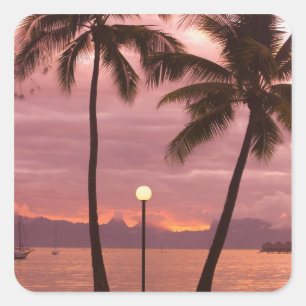 Solnedgång över Moorea från Sofitel Maeva Beach Fyrkantigt Klistermärke