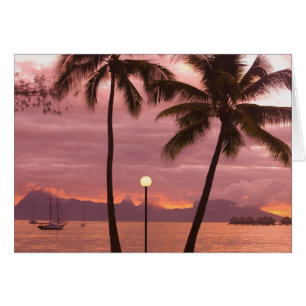 Solnedgång över Moorea från Sofitel Maeva Beach Hälsningskort