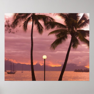 Solnedgång över Morea från Sofitel Maeva Beach Poster