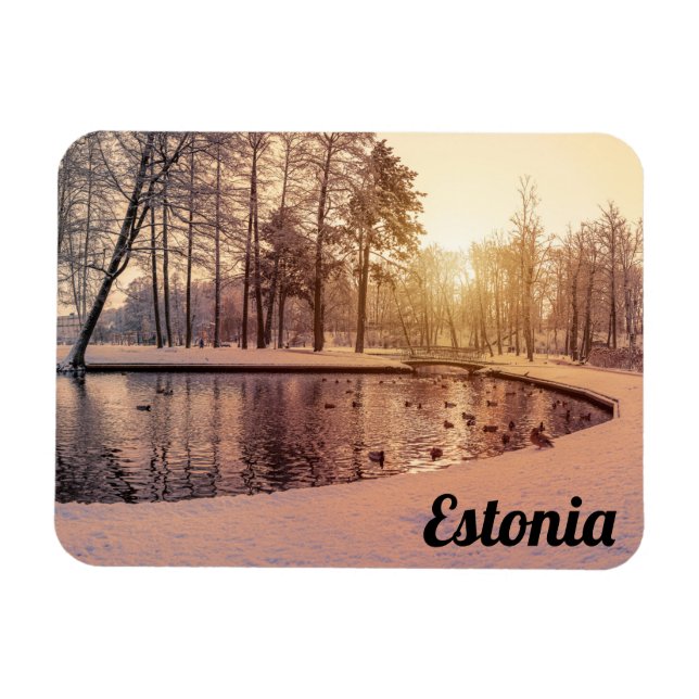Solnedgång över parken med liten frostig sjö magnet (Horisontell)