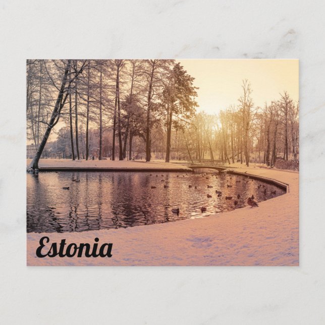 Solnedgång över parken med liten frostig sjö vykort (Framsida)