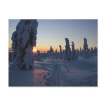 Solnedgång över skogen i Lappland