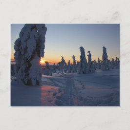 Solnedgång över skogen i Lappland Vykort