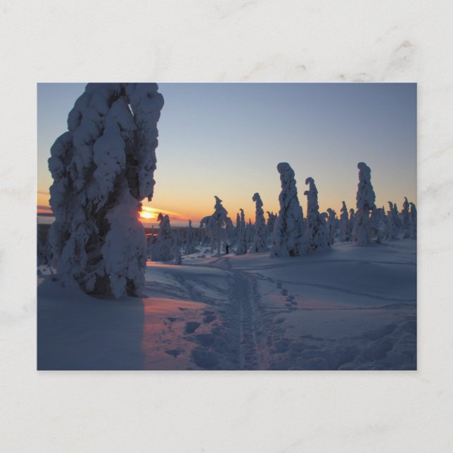 Solnedgång över skogen i Lappland Vykort (Framsida)