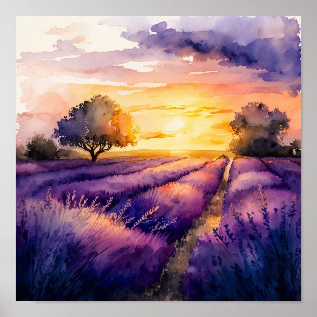 Solnedgång över vattenfärgen Lavender Fält Poster (Framsidan)