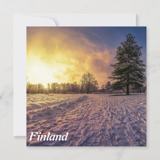 Solnedgång över vinterparken (Framsida)