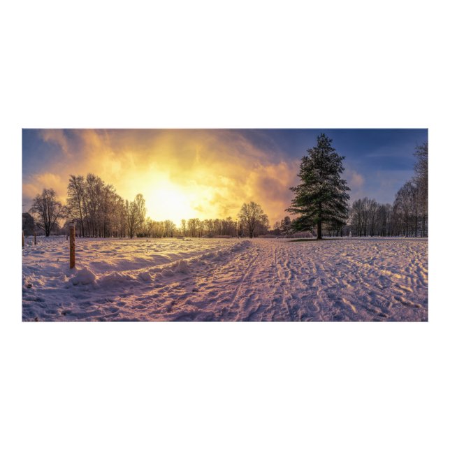 Solnedgång över vinterparken fototryck (Framsidan)