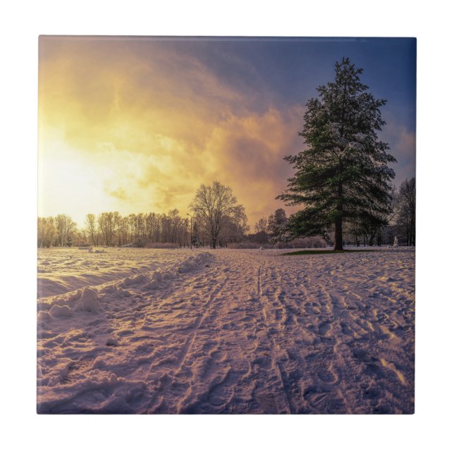 Solnedgång över vinterparken kakelplatta (Framsidan)