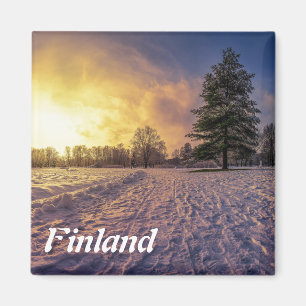 Solnedgång över vinterparken magnet