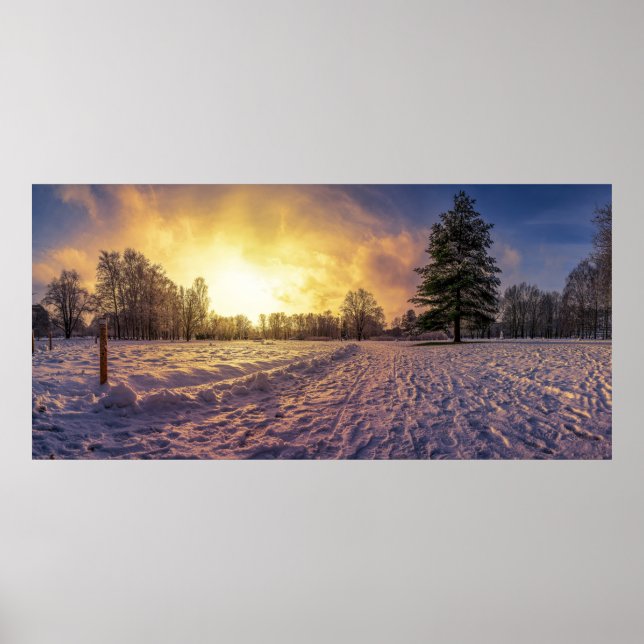 Solnedgång över vinterparken poster (Framsidan)
