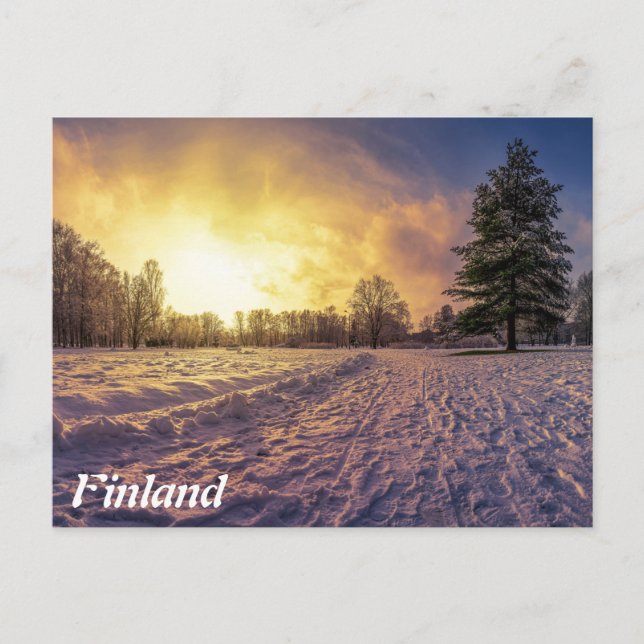 Solnedgång över vinterparken vykort (Framsida)