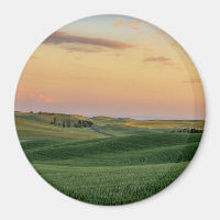 Solnedgång över Wheat Fält | Washington