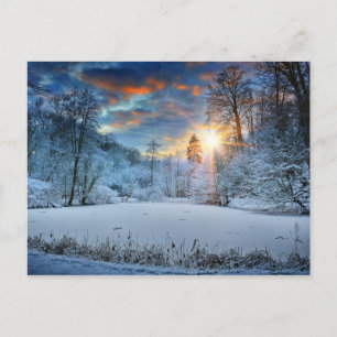 Solnedgång över Winter Forest Sjö Vykort