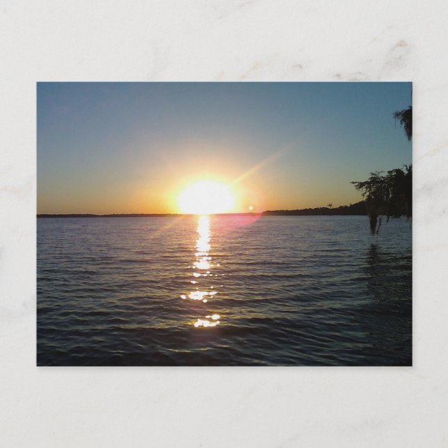 Solnedgång på Bayou Vykort (Framsida)